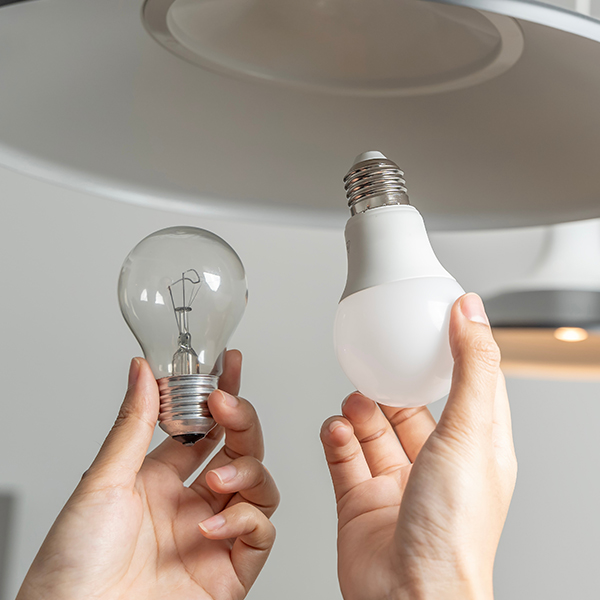 Smart Energy Business Energy efficiency Bulbs